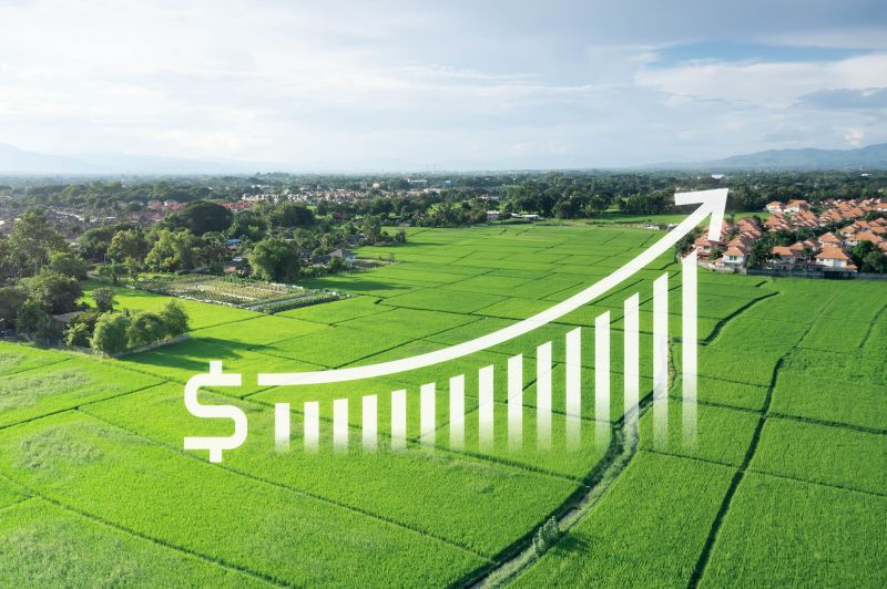 Farm Appraisal Service